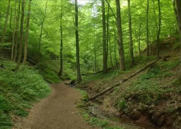 Beletage Lejlighed *